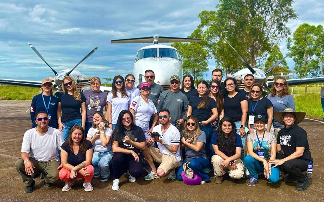 Barranca / Meta